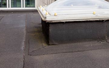 disadvantages of Bryn Henllan flat roofs