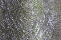 Bryn Henllan fibreglass roof work